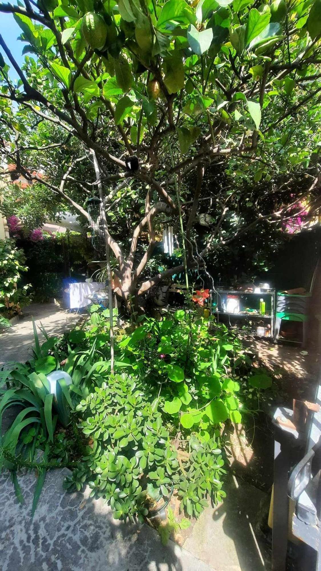 Les Violettes Apartment Menton Bagian luar foto