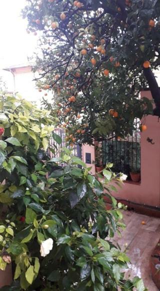 Les Violettes Apartment Menton Bagian luar foto